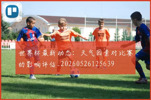 世界杯最新动态：天气因素对比赛的影响评估_20260526125639